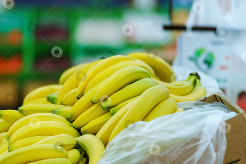 Скачать Свежие желтые бананы крупным планом на полках гипермаркета. фотосток Ozero