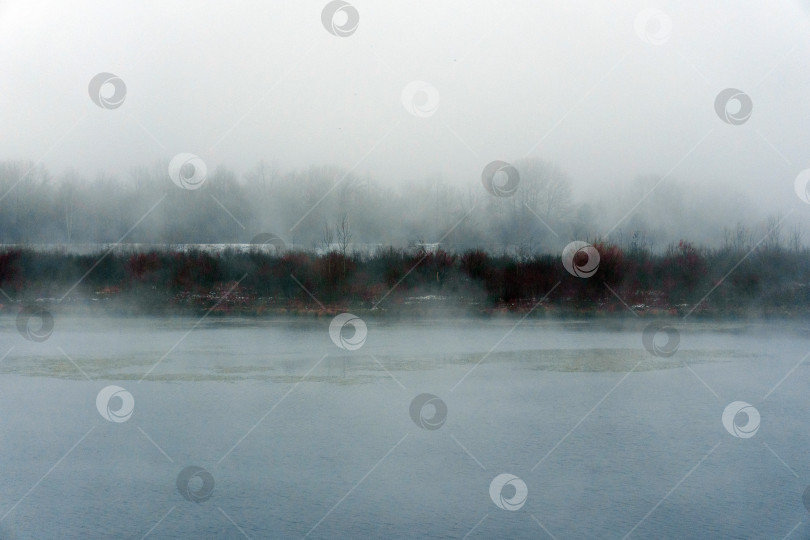 Скачать Туманная безмятежность: Мистический пейзаж озера с деревьями на заднем плане фотосток Ozero