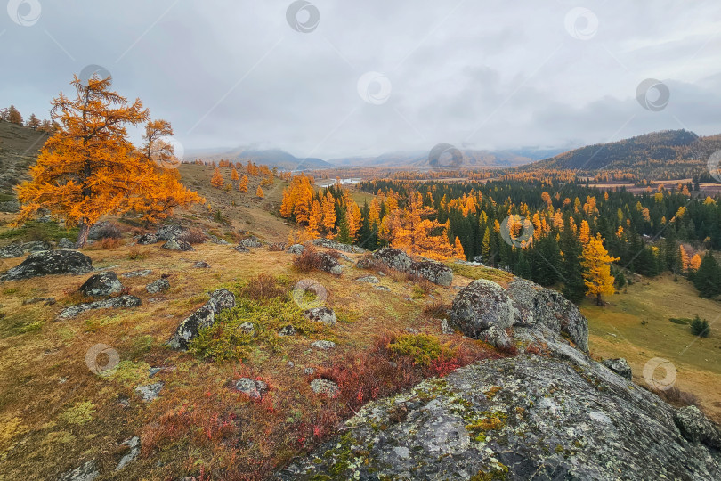 Скачать Степь Самаха осенью. Красивый осенний горный степной пейзаж. Красивый осенний вид, горные пейзажи. Алтайский край. фотосток Ozero