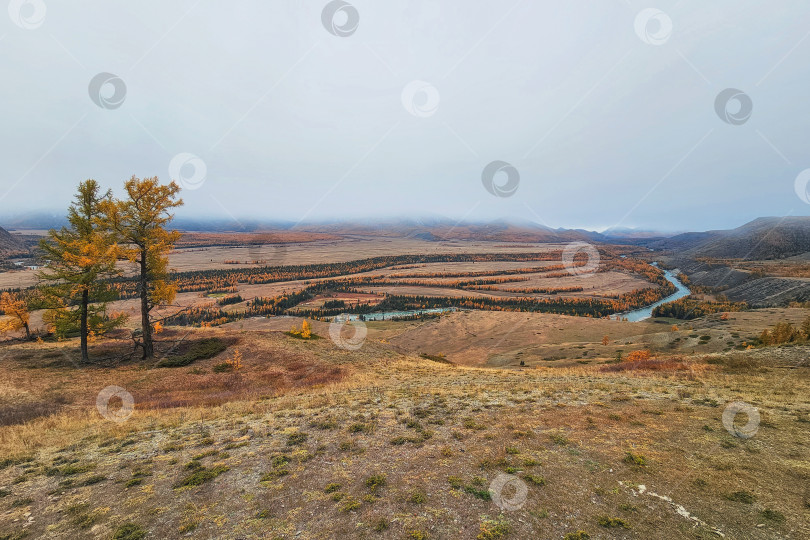 Скачать Степь Самаха осенью. Красивый осенний горный степной пейзаж. Красивый осенний вид, горные пейзажи. Алтайский край. фотосток Ozero