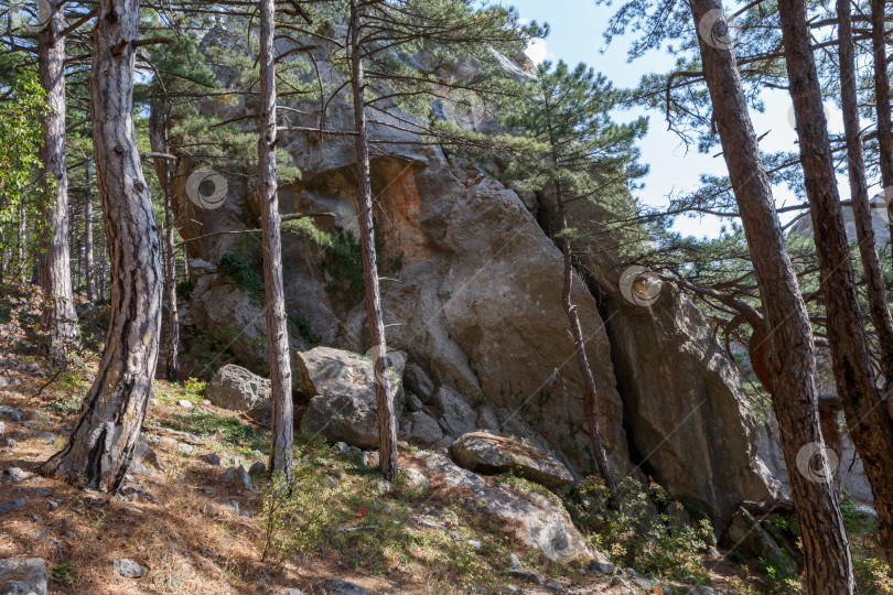 Скачать Пастушьи скалы - огромные каменные глыбы, стоящие около тропы Алупка-Исары . фотосток Ozero
