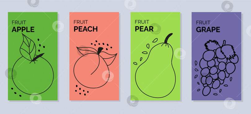 Скачать Четыре баннера с контурными изображениями фруктов - груши, персика, яблока, винограда фотосток Ozero