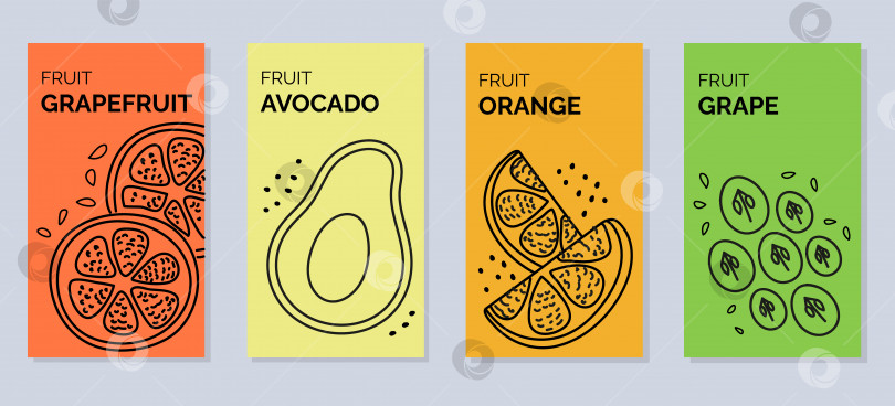Скачать Четыре баннера с контурными векторными иллюстрациями фруктов - грейпфрута, авокадо, апельсина, винограда фотосток Ozero