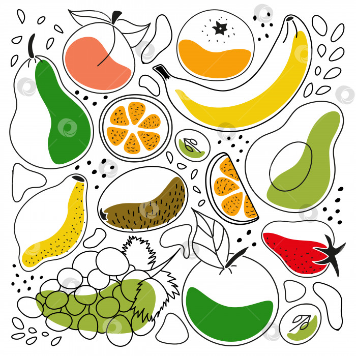Скачать Набор контурных рисунков фруктов и ягод - яблоко, персик, груша, авокадо, цитрусовые, апельсин, клубника, банан, виноград, киви, лимон, мандарин фотосток Ozero