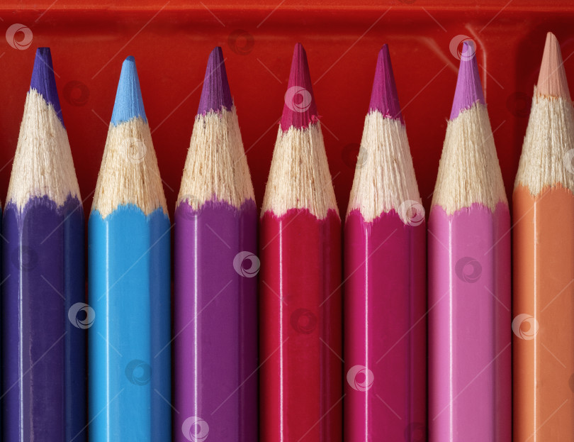 Скачать В коробке в ряд разложен набор новых цветных карандашей. Крупный план. Фон с цветными карандашами для хобби, уроков рисования, художественного образования, бизнеса. фотосток Ozero