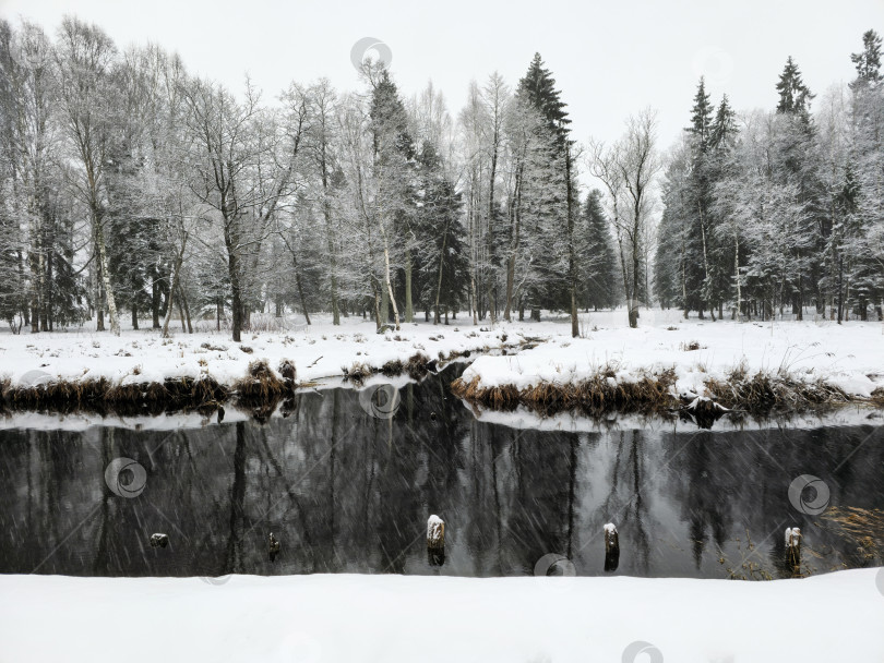 Скачать сказочный зимний пейзаж с черной рекой и заснеженными деревьями. Зимний день в городском парке. Деревья в зимнем пейзаже. фотосток Ozero