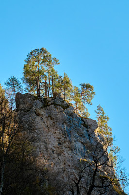 [object Object] undefined
