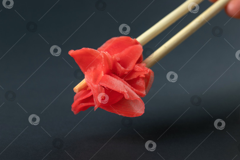 Скачать Маринованный имбирь для суши удерживается деревянными палочками для еды на черном фоне фотосток Ozero