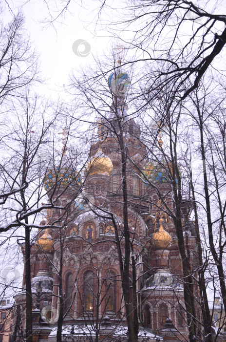 Скачать Санкт-Петербург, Россия – 24.12.2023: Храм Воскресения Христова на Крови́ (храм Спа́са на Крови́) в Санкт-Петербурге зимой, вид со стороны Михайловского сада фотосток Ozero