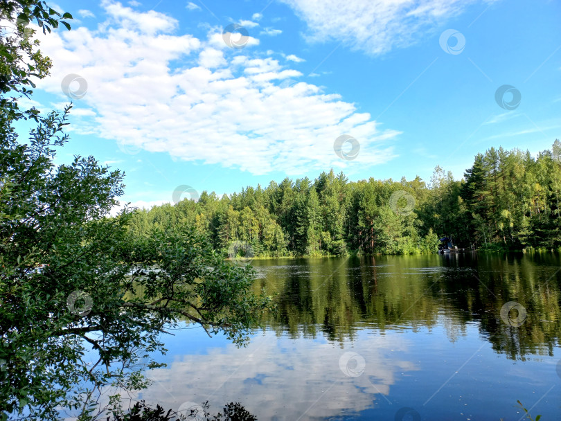 Скачать Летний пейзаж, вид на реку Шуя в Республике Карелия фотосток Ozero