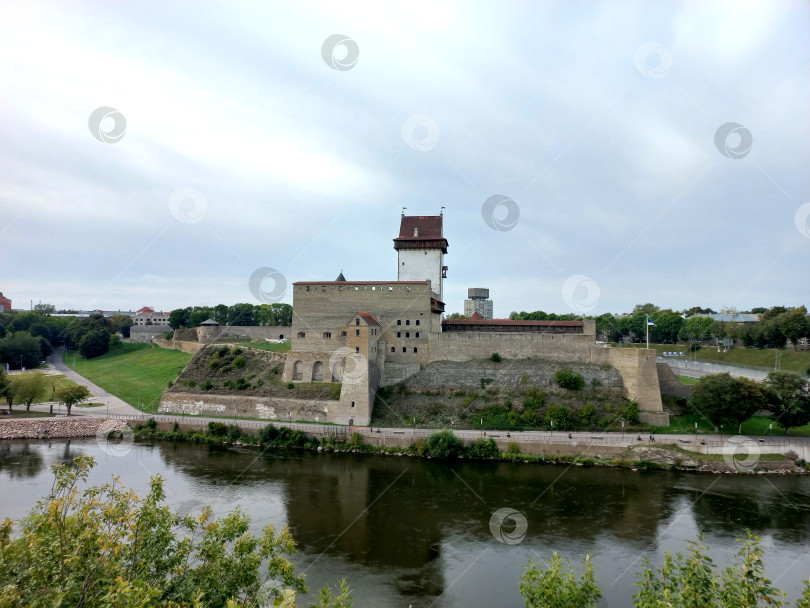 Скачать Вид на крепость в городе Нарва, Эстония фотосток Ozero