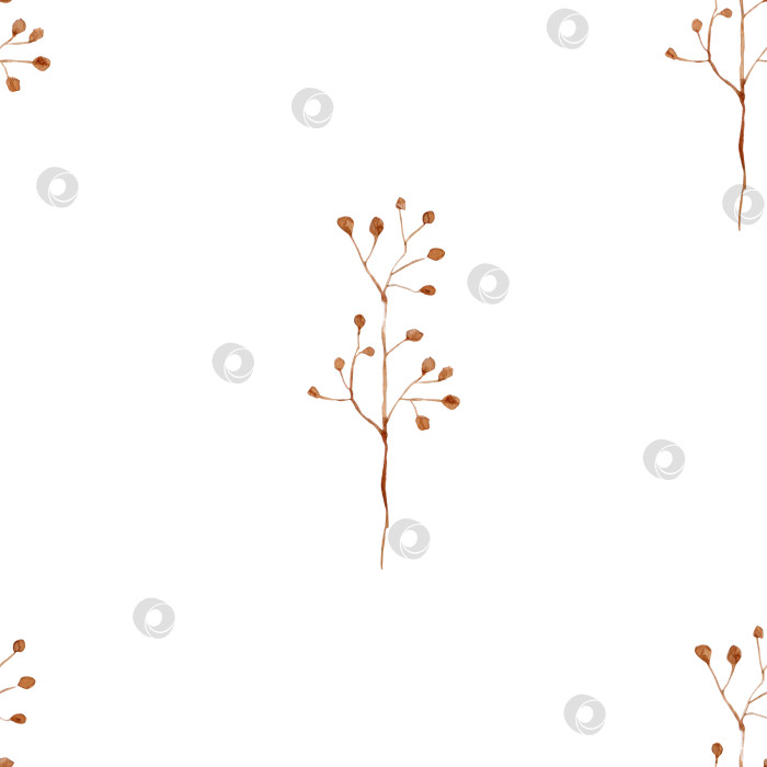 Скачать Акварельный узор с веточками, простой ботанический принт декоративной ветки. Ботаническая рисованная иллюстрация на белом фоне для текстиля фотосток Ozero