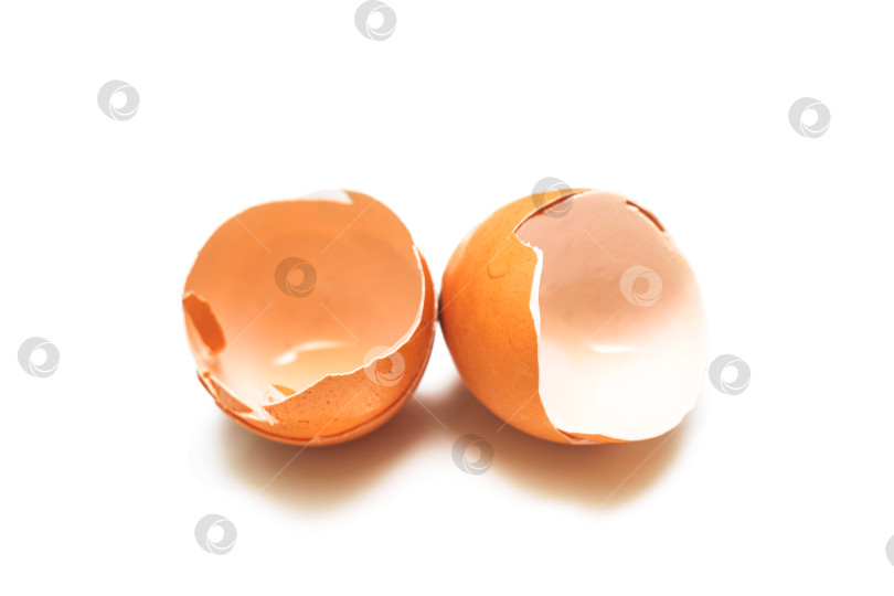 Скачать Скорлупа от разбитых яиц крупным планом, изолированная фотосток Ozero