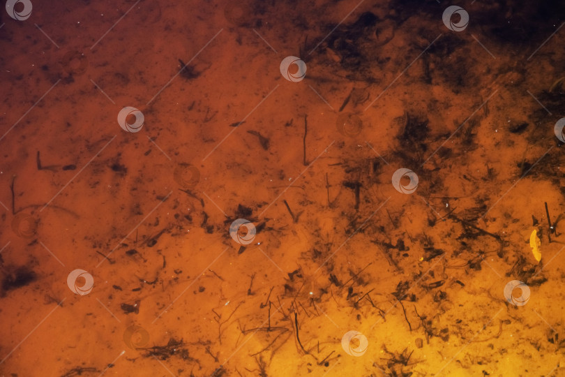 Скачать Песчаное дно пруда абстрактный фон фотосток Ozero