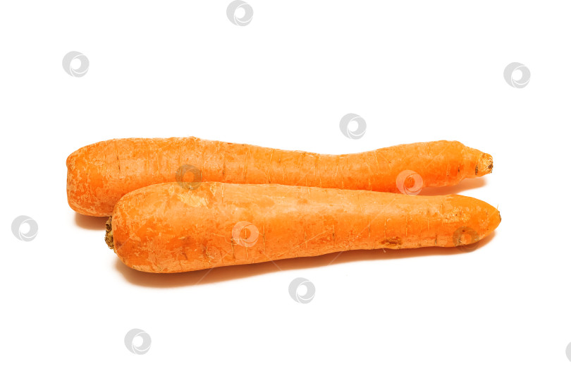 Скачать Свежая морковь крупным планом выделена на белом фоне фотосток Ozero