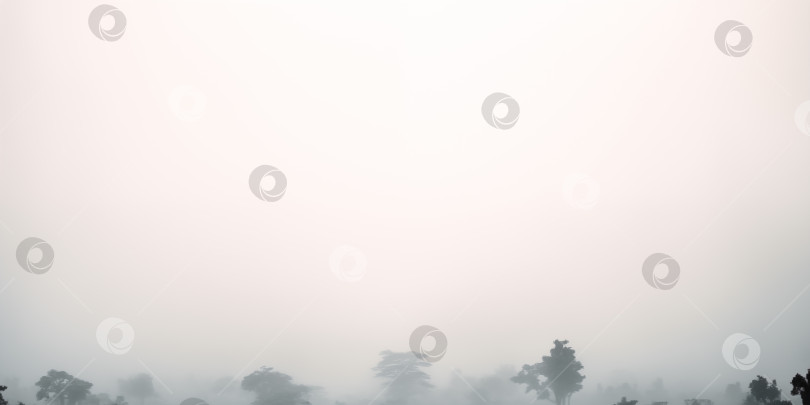 Скачать туманное утро в сосновом лесу, минималистичный фон с пространством для копирования фотосток Ozero