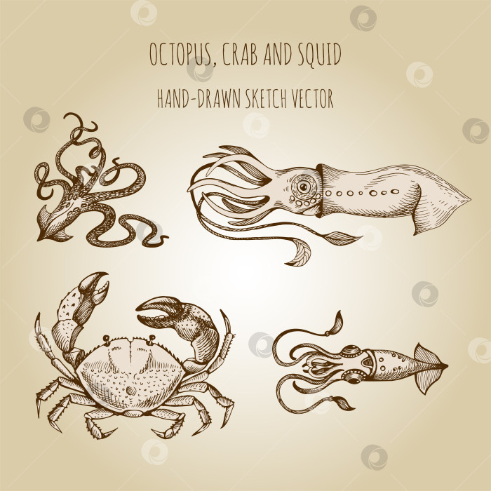 Скачать Нарисованное от руки морское чудовище: осьминог, кальмар, краб. Векторный эскиз, нарисованный от руки. фотосток Ozero