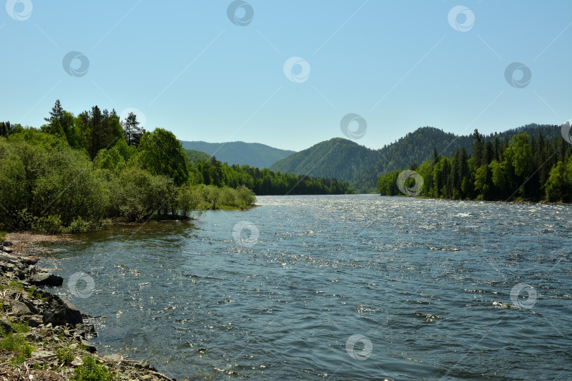 Скачать Поворот широкого русла красивой реки, текущей с гор через густой лес солнечным летним днем. фотосток Ozero