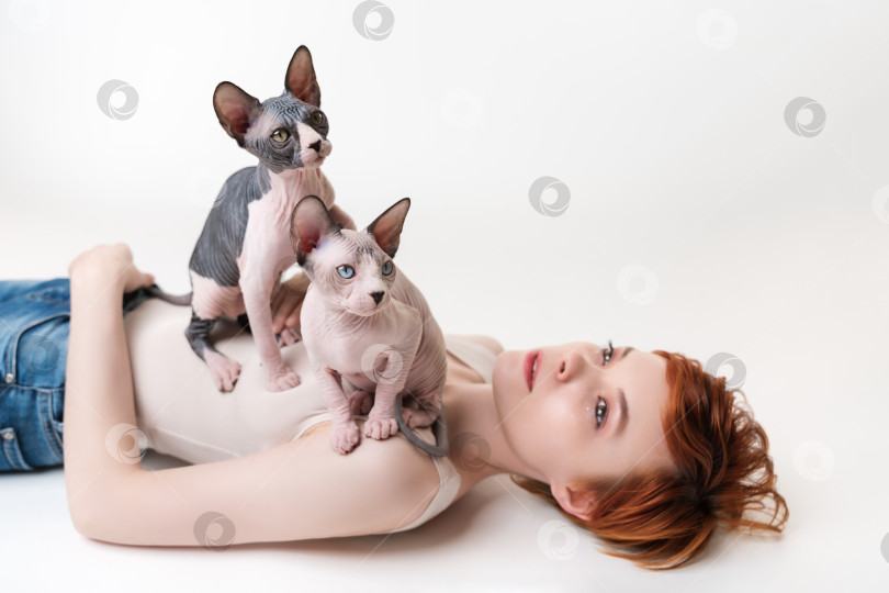 Скачать Два дружелюбных безволосых кота-сфинкса, сидящие на рыжей молодой женщине, лежащей на спине на белом фоне фотосток Ozero