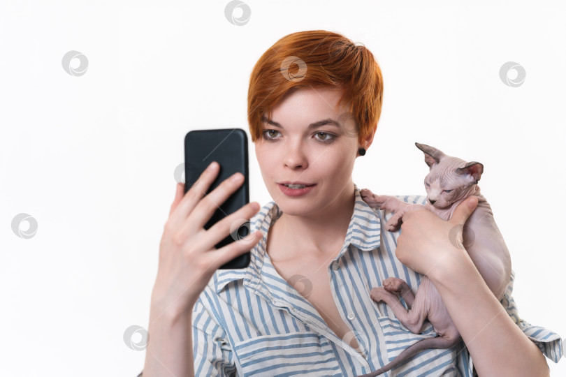 Скачать Женщина обнимает кошку, ведет видеозвонок, держит смартфон в руке, снимает селфи на камеру фотосток Ozero