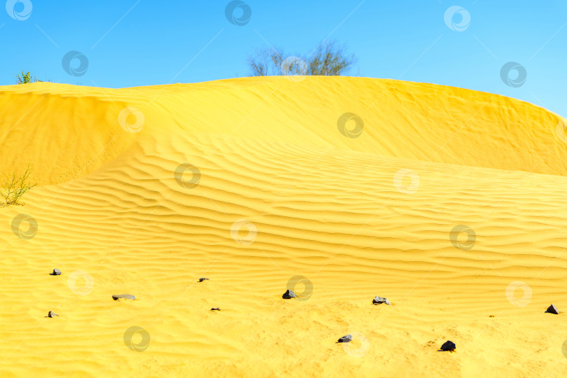 Скачать Песчаные дюны в селективном фокусе в Астраханской пустыне, Россия. Дикая пустыня. фотосток Ozero
