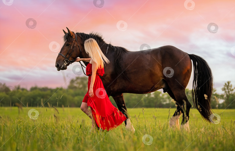 Скачать Молодая женщина в красном платье прогуливается с лошадью фотосток Ozero