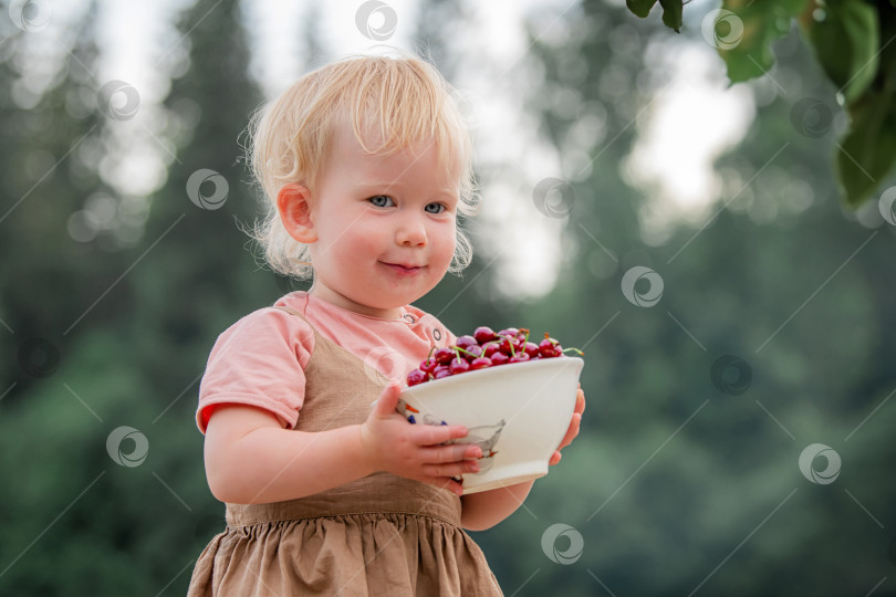 Скачать Маленькая девочка ест вишни на природе в сельской местности. фотосток Ozero