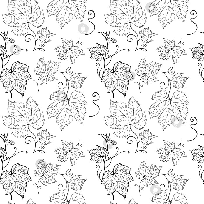 Скачать Лист виноградной лозы. Виноградные листья. Рисованная иллюстрация. Векторный бесшовный узор. фотосток Ozero