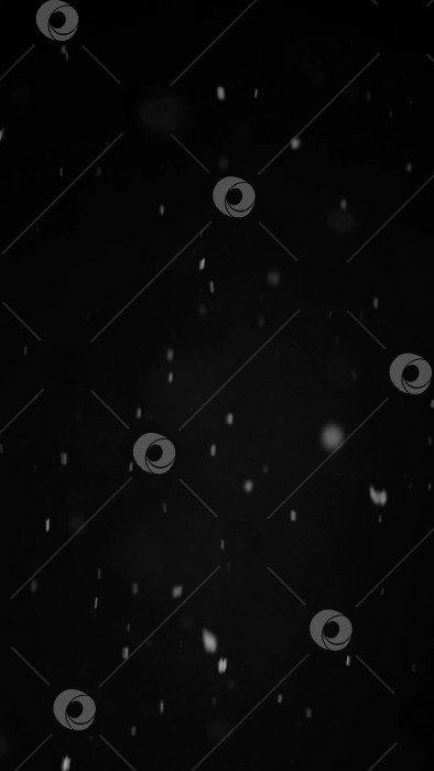 Скачать наложение снегопада, черный фон - зима, эффект медленно падающего снега фотосток Ozero