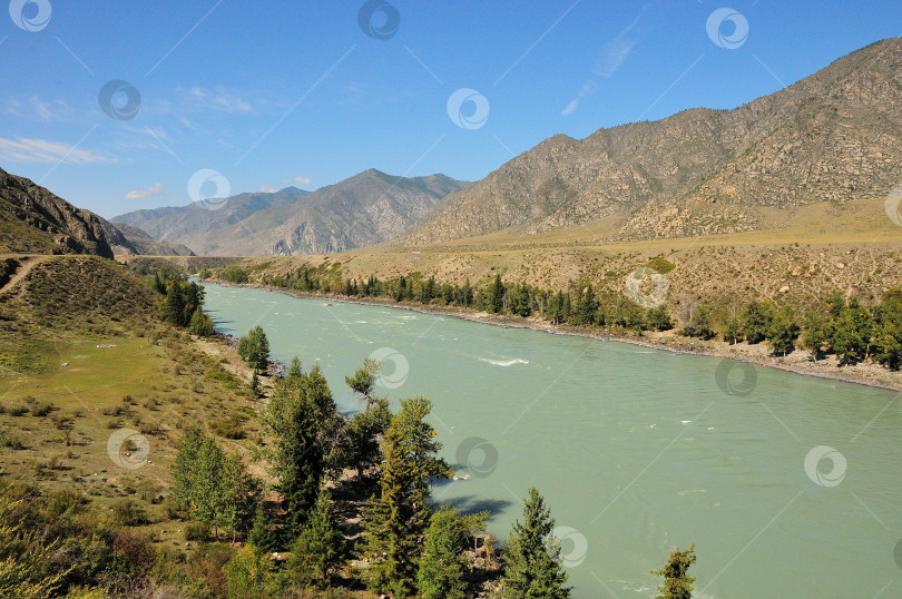 Скачать Русло широкой реки с соснами на берегах, протекающей по живописной горной долине. фотосток Ozero