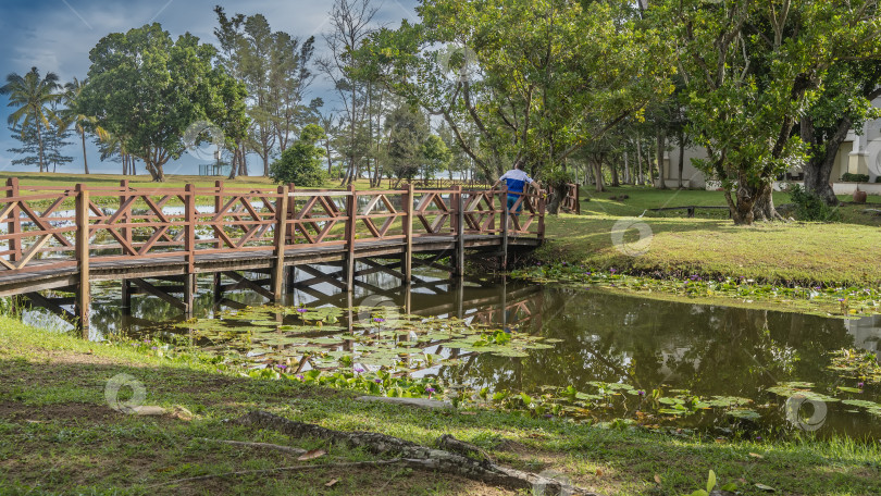 Скачать Через озеро перекинут деревянный пешеходный мост. фотосток Ozero