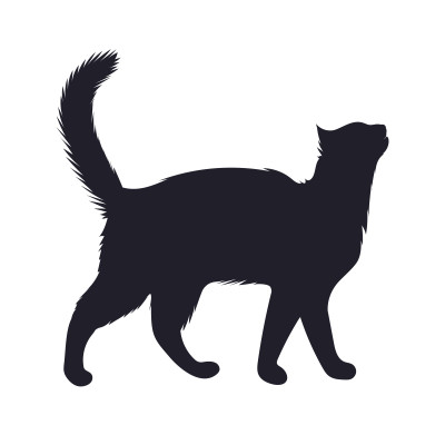 [object Object] undefined