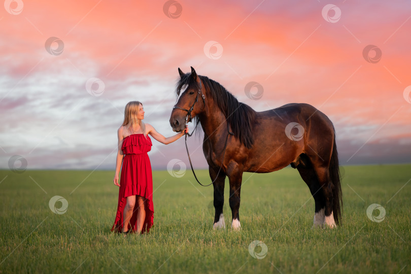 Скачать Молодая женщина в красном платье прогуливается с лошадью по полю на закате фотосток Ozero