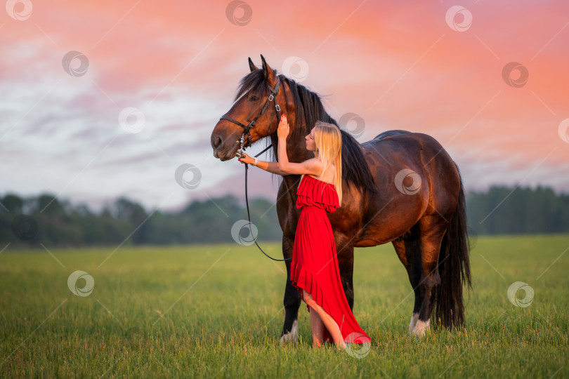 Скачать Молодая женщина в красном платье прогуливается с лошадью по полю на закате фотосток Ozero