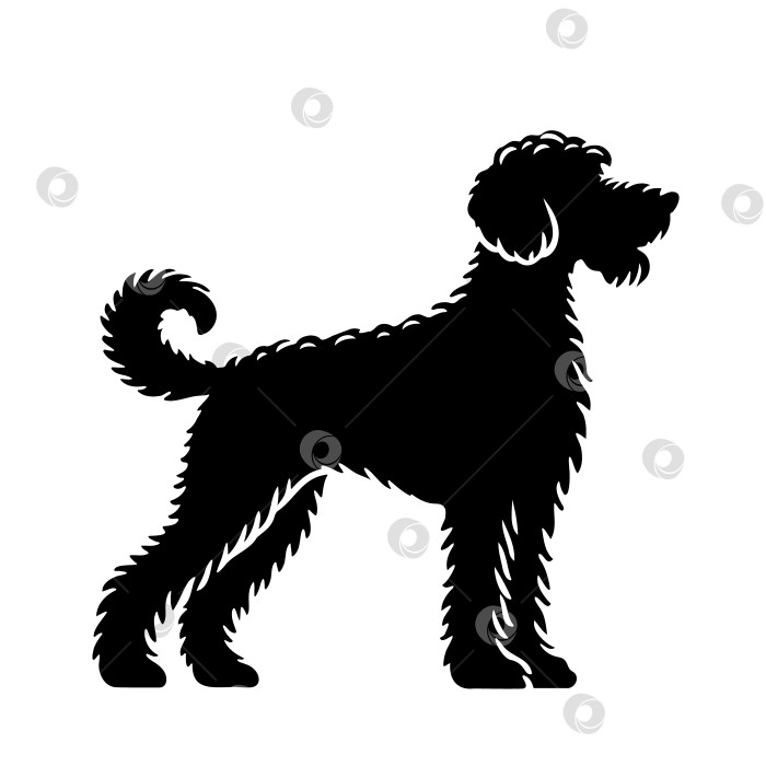 Скачать Черный силуэт собаки, выделенный на белом фоне фотосток Ozero