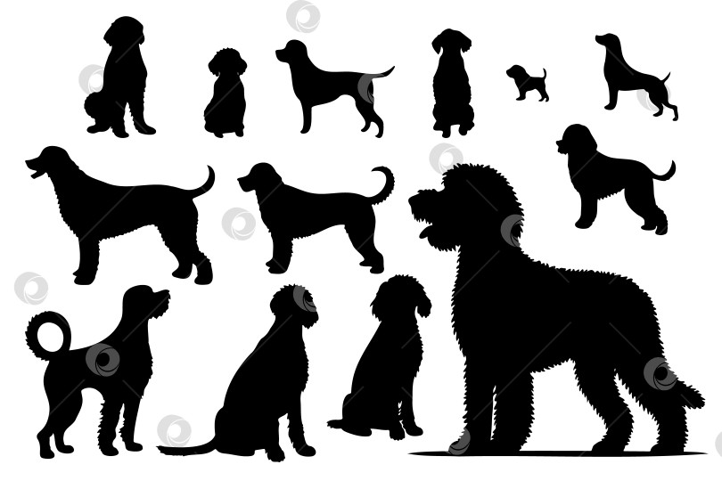 Скачать Коллекция векторных силуэтов собак, от маленьких до больших. Символ животного фотосток Ozero
