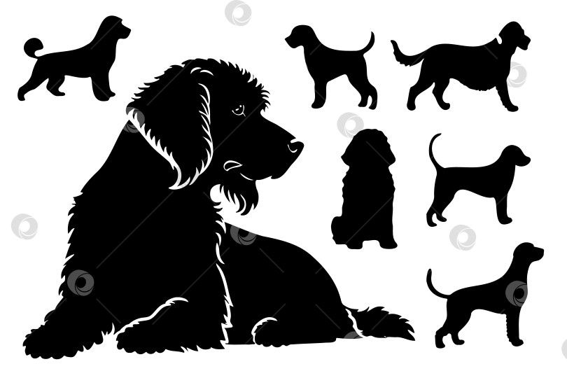 Скачать Коллекция векторных силуэтов собак, от маленьких до больших. Символ животного фотосток Ozero