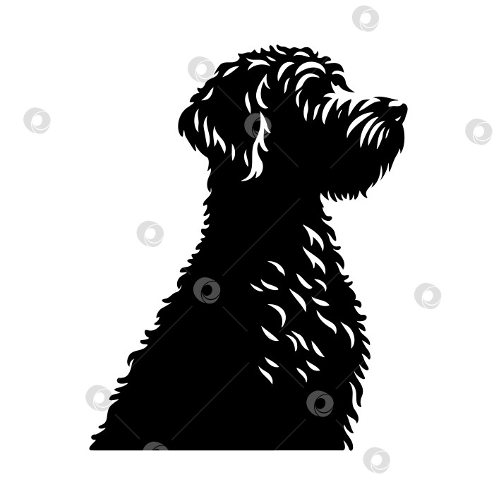 Скачать Черный силуэт собаки, выделенный на белом фоне фотосток Ozero