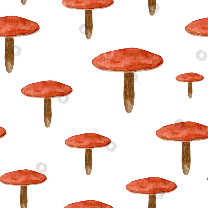 Скачать Акварельный бесшовный узор с грибами, лесной узор, нарисованный от руки. Принт ручной работы с лесными обитателями, осенний сбор грибов фотосток Ozero