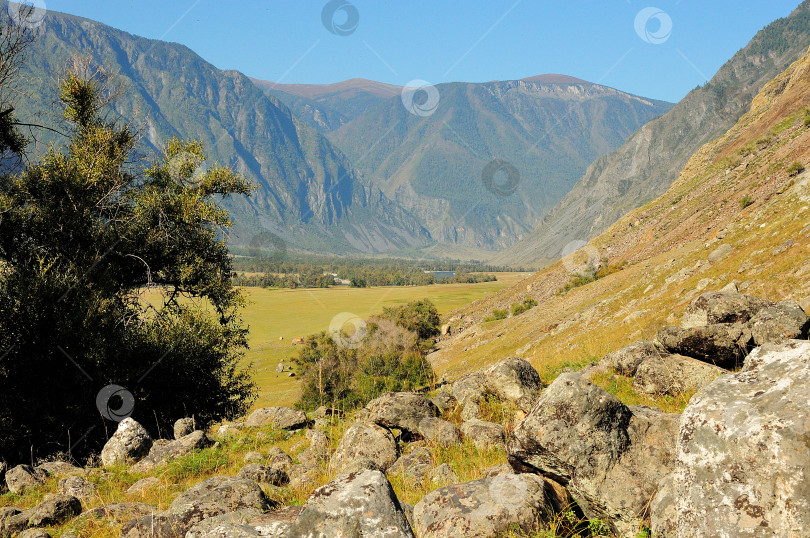 Скачать Вид сквозь кусты со склона высокого скалистого холма на узкую долину, зажатую в горах теплым осенним днем. фотосток Ozero