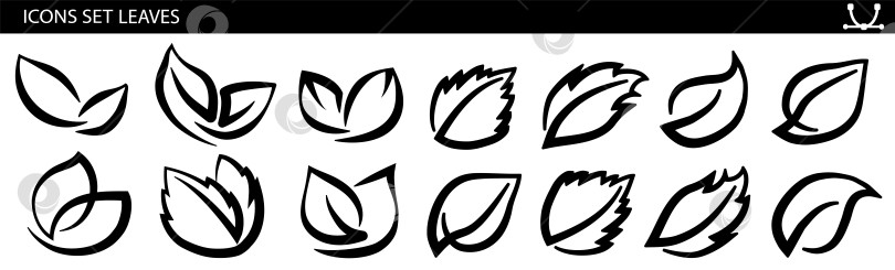 Скачать Набор листьев на белом фоне, для логотипов, дизайнов, для символики зеленой планеты фотосток Ozero