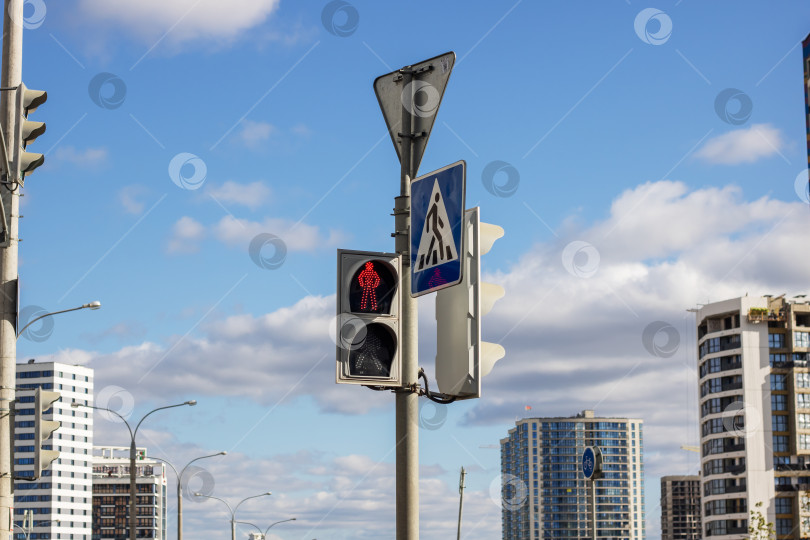 Скачать Пешеходный светофор на красный свет в городе фотосток Ozero