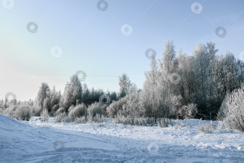 Скачать Заснеженный парк, покрытые снегом деревья, зимний день фотосток Ozero