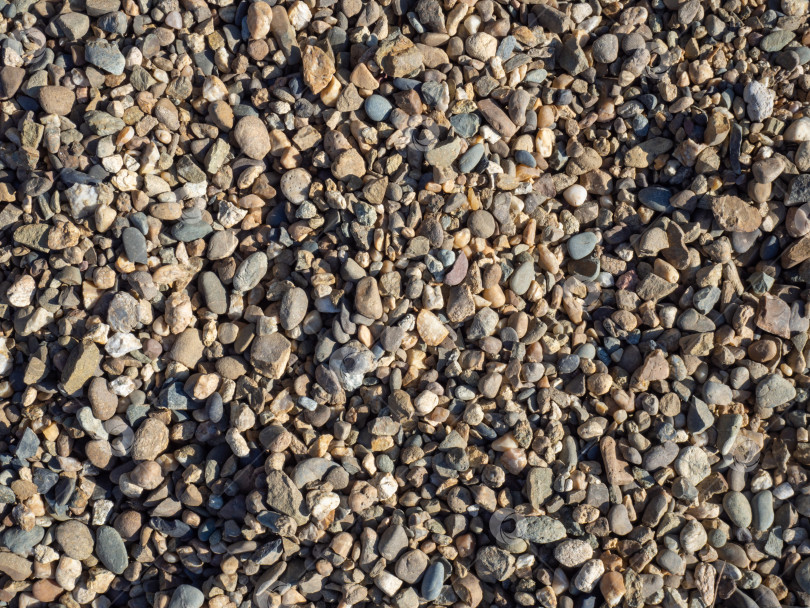 Скачать Фоновая текстура камня. Множество мелких разноцветных камешков (гальки), естественный текстурированный фон фотосток Ozero
