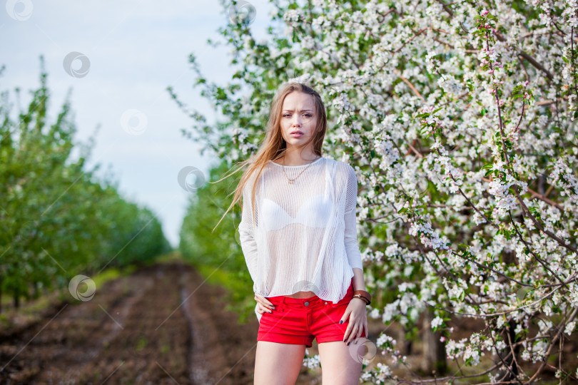 Скачать открытый портрет женщины среди цветущих яблонь весна фотосток Ozero