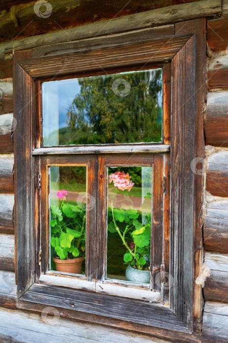 Скачать Деревенское окно с цветами в старом деревянном доме крупным планом фотосток Ozero