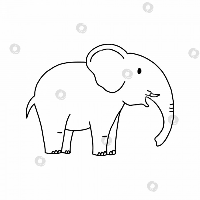 Раскраска слон – Развивающие иллюстрации