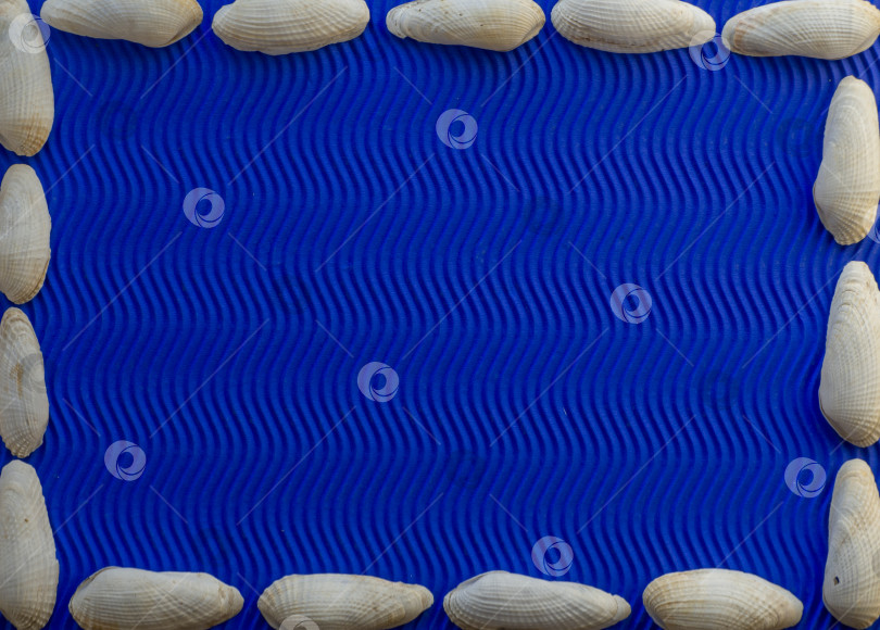 Скачать Плоский макет, вид сверху. Текстурная композиция Синий волнистый фон по краям обрамление из белых ракушек фотосток Ozero
