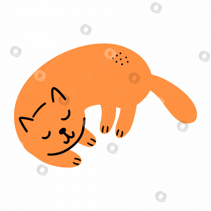 Скачать Милый оранжевый кот спит с закрытыми глазами. Иллюстрация в виде каракулей. Домашнее животное. фотосток Ozero