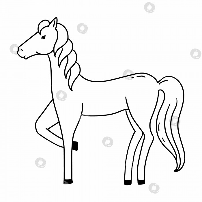 Скачать Симпатичная каракулевая лошадка, изолированная на белом фоне. Книжка-раскраска с животными для ребенка. фотосток Ozero